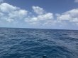 Monday April 21st 2025 Tropical Destiny: Benwood Wreck reef report photo 1