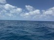 Monday April 21st 2025 Tropical Destiny: Benwood Wreck reef report photo 2