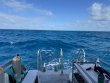 Saturday April 26th 2025 Tropical Destiny: Benwood Wreck reef report photo 2