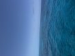 Friday May 16th 2025 Tropical Destiny: Drift French reef report photo 4