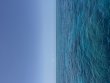 Friday May 16th 2025 Tropical Destiny: Drift French reef report photo 1