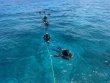 Wednesday May 21st 2025 Tropical Destiny: Conch Ledge reef report photo 1