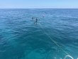Thursday May 22nd 2025 Tropical Destiny: Molasses Reef reef report photo 1