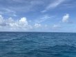 Saturday June 14th 2025 Tropical Destiny: Nine Channel reef report photo 1