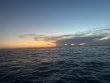 Saturday June 21st 2025 Tropical Destiny: Benwood Wreck reef report photo 1