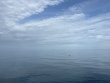 Monday July 14th 2025 Tropical Destiny: Benwood Wreck reef report photo 1