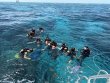 Thursday July 24th 2025 Tropical Destiny: Molasses Reef reef report photo 1