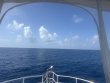 Monday August 4th 2025 Tropical Destiny: USCGC Duane reef report photo 1