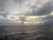 Thursday September 18th 2025 Tropical Destiny: Benwood Wreck reef report photo 1