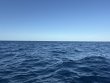 Sunday December 21st 2025 Tropical Destiny: USCGC Duane reef report photo 1
