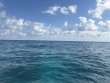 Sunday December 21st 2025 Tropical Destiny: Pickles Reef reef report photo 1