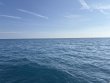 Wednesday January 1st 2025 Tropical Legend: Molasses Reef reef report photo 1
