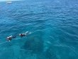 Wednesday March 26th 2025 Tropical Legend: Nine Channel reef report photo 1