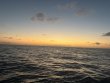 Tuesday April 1st 2025 Tropical Legend: Benwood Wreck reef report photo 1