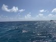 Wednesday April 2nd 2025 Tropical Legend: Nine Channel reef report photo 1