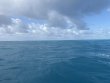 Sunday April 6th 2025 Tropical Legend: Benwood Wreck reef report photo 1