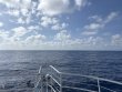 Friday May 16th 2025 Tropical Legend: Spiegel Grove reef report photo 1