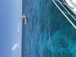 Saturday May 24th 2025 Tropical Legend: Eagle Ray Alley reef report photo 1