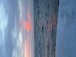 Thursday July 17th 2025 Tropical Legend: Benwood Wreck reef report photo 1