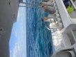 Saturday July 26th 2025 Tropical Legend: ChristmasTree Cave reef report photo 1