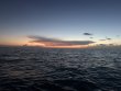 Saturday August 2nd 2025 Tropical Legend: JJs Cave reef report photo 1