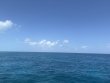 Tuesday August 5th 2025 Tropical Legend: Nine Channel reef report photo 1