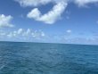 Tuesday August 12th 2025 Tropical Legend: Christ Statue reef report photo 1