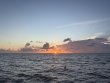 Tuesday August 12th 2025 Tropical Legend: CRF Nursery reef report photo 1