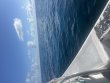 Thursday August 14th 2025 Tropical Legend: Nine Channel reef report photo 1