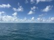 Friday September 26th 2025 Tropical Legend: Benwood Wreck reef report photo 1