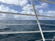 Friday October 3rd 2025 Tropical Legend: Eagle Ray Alley reef report photo 1