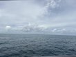 Sunday October 5th 2025 Tropical Legend: ChristmasTree Cave reef report photo 1