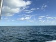 Saturday October 18th 2025 Tropical Legend: Fire Coral Cave reef report photo 1