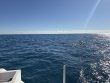 Monday November 17th 2025 Tropical Legend: Molasses Reef reef report photo 1