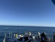 Monday November 17th 2025 Tropical Legend: Molasses Reef reef report photo 1