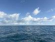 Sunday December 7th 2025 Tropical Legend: Benwood Wreck reef report photo 1