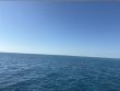 Friday December 26th 2025 Tropical Legend: Coral Canyons reef report photo 1