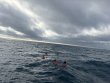 Tuesday December 30th 2025 Tropical Legend: Hard Bottom Cave reef report photo 1