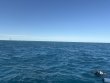 Tuesday December 30th 2025 Tropical Legend: Nine Channel reef report photo 1