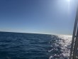 Wednesday December 31st 2025 Tropical Legend: Benwood Wreck reef report photo 1