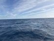 Sunday January 5th 2025 Tropical Odyssey: USCGC Duane reef report photo 1