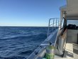 Thursday January 9th 2025 Tropical Odyssey: USCGC Duane reef report photo 1