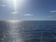 Thursday February 27th 2025 Tropical Odyssey: USCGC Duane reef report photo 1