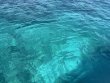 Friday February 28th 2025 Tropical Odyssey: Mikes Wreck reef report photo 1