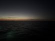 Thursday March 20th 2025 Tropical Odyssey: Benwood Wreck reef report photo 1