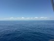 Wednesday March 26th 2025 Tropical Odyssey: Drift Conch Wall reef report photo 1