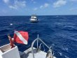 Thursday April 24th 2025 Tropical Odyssey: Spiegel Grove reef report photo 1