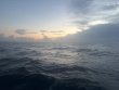 Tuesday June 10th 2025 Tropical Odyssey: Benwood Wreck reef report photo 1