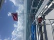 Monday June 30th 2025 Tropical Odyssey: Christ Statue reef report photo 1