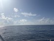 Monday July 7th 2025 Tropical Odyssey: Spiegel Grove reef report photo 1